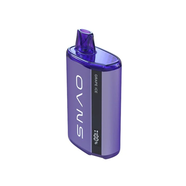 Digital Screen 10000 Puff Disposable Vape